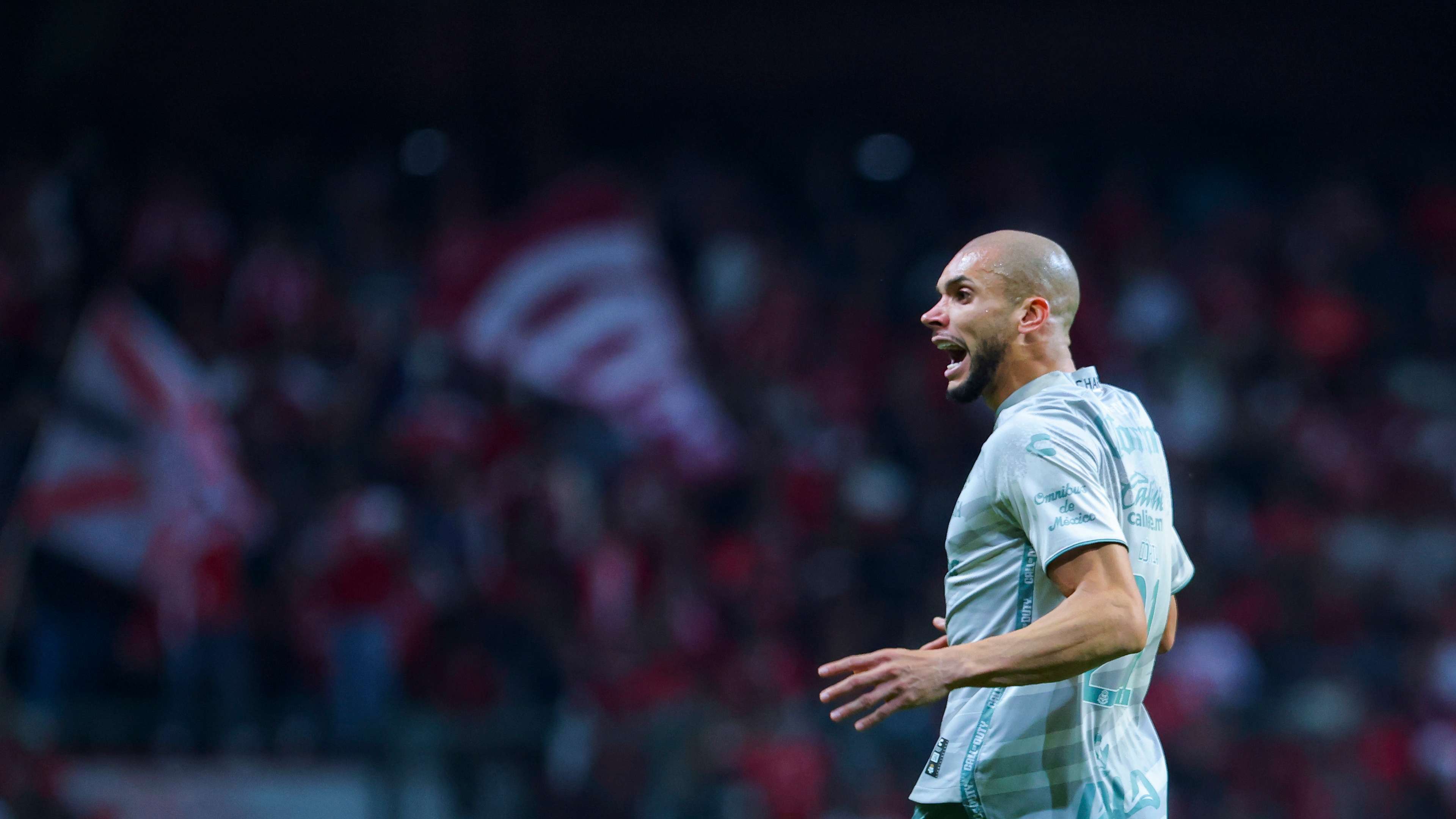 这不仅包括 这不仅包括